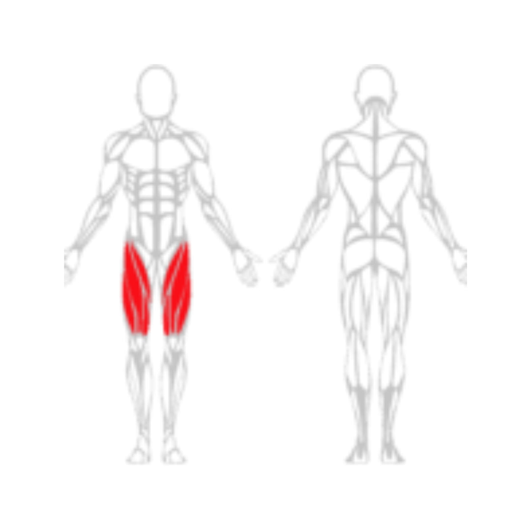 Leg Extensions Assis – TE14 -LAROQ