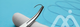 Sutures et Ligatures